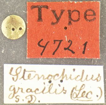Media type: image;   Entomology 4721 Aspect: labels